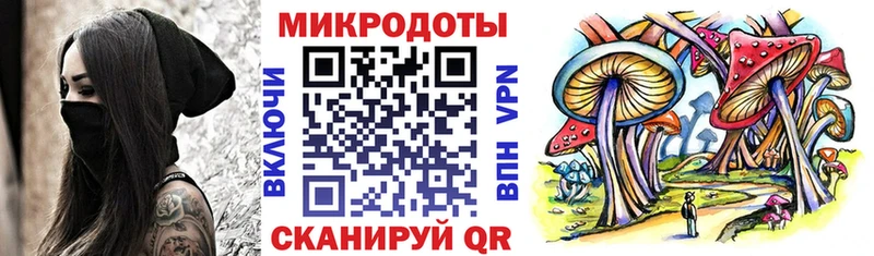 Купить закладки  Сальск  Псилоцибиновые грибы MAGIC MUSHROOMS 